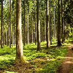 Nid'ardennes 度假居 *
