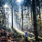 Nid'ardennes 度假居 *