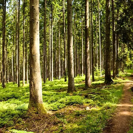Nid'ardennes Сasa de vacaciones *