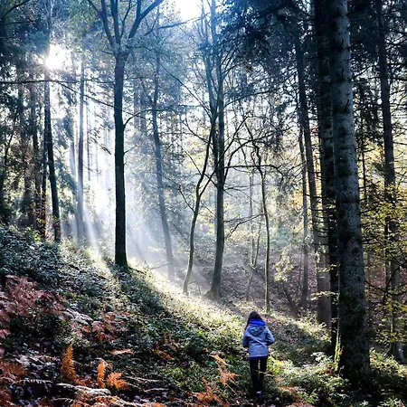 Nid'ardennes Сasa de vacaciones *