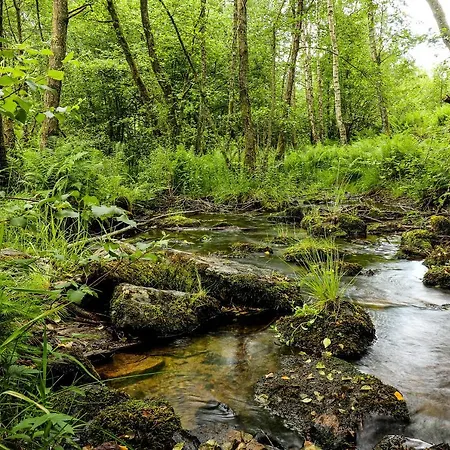Nid'ardennes Bouillon